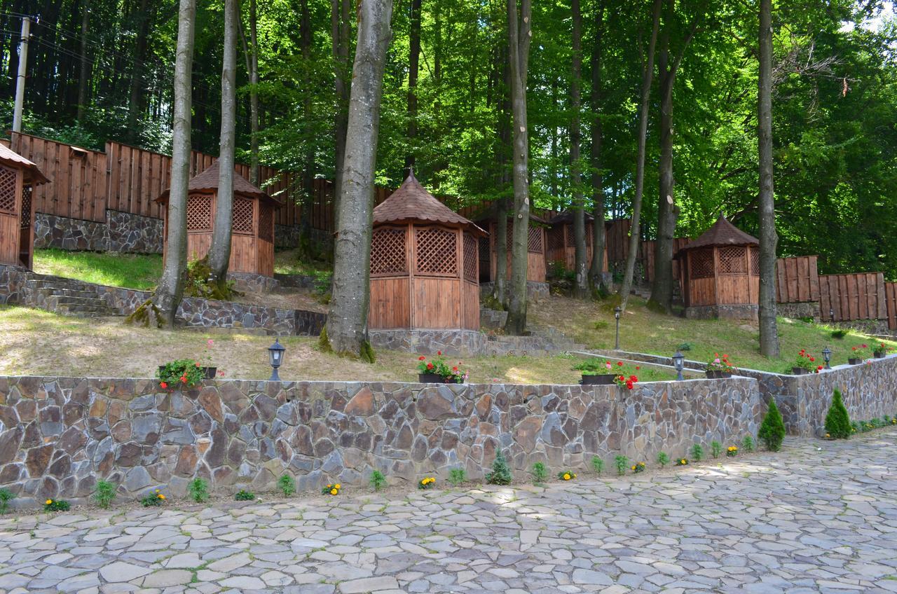 Sadyba Sribne Dzherelo Hotel Ilnytsya Buitenkant foto