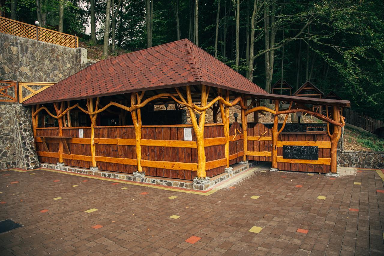 Sadyba Sribne Dzherelo Hotel Ilnytsya Buitenkant foto
