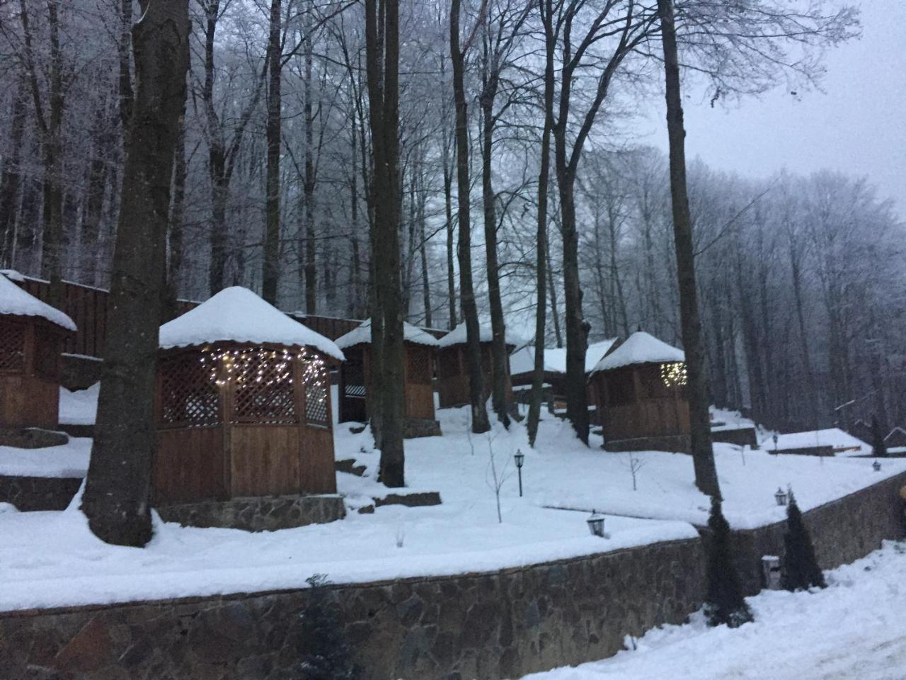 Sadyba Sribne Dzherelo Hotel Ilnytsya Buitenkant foto