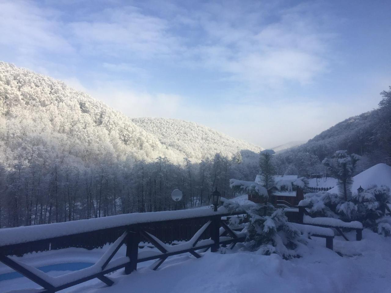 Sadyba Sribne Dzherelo Hotel Ilnytsya Buitenkant foto